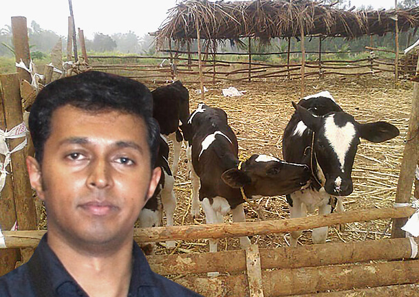 The Weekend Leader - Santhosh D Singh, founder, Amrutha Dairy Farms, offers Heifer Rearing Business plan 